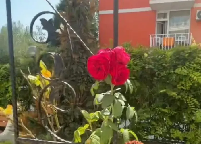 Apartamento Yana Sanny